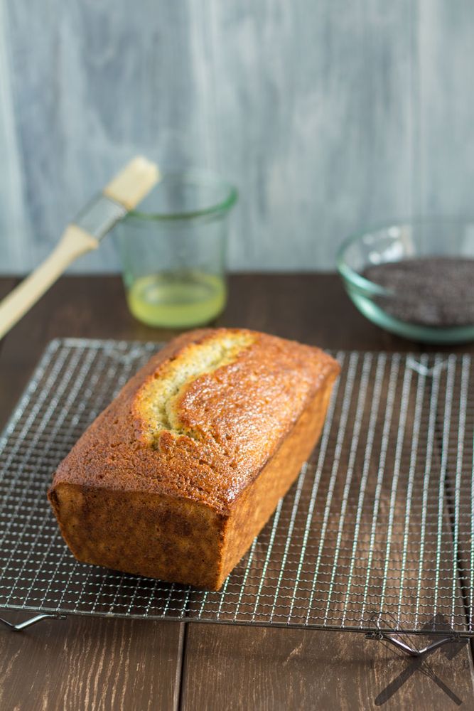 Rezeptbild: Zitronen-Mohn Kuchen