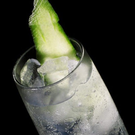 Rezeptbild: Gin Tonic mit Gurke