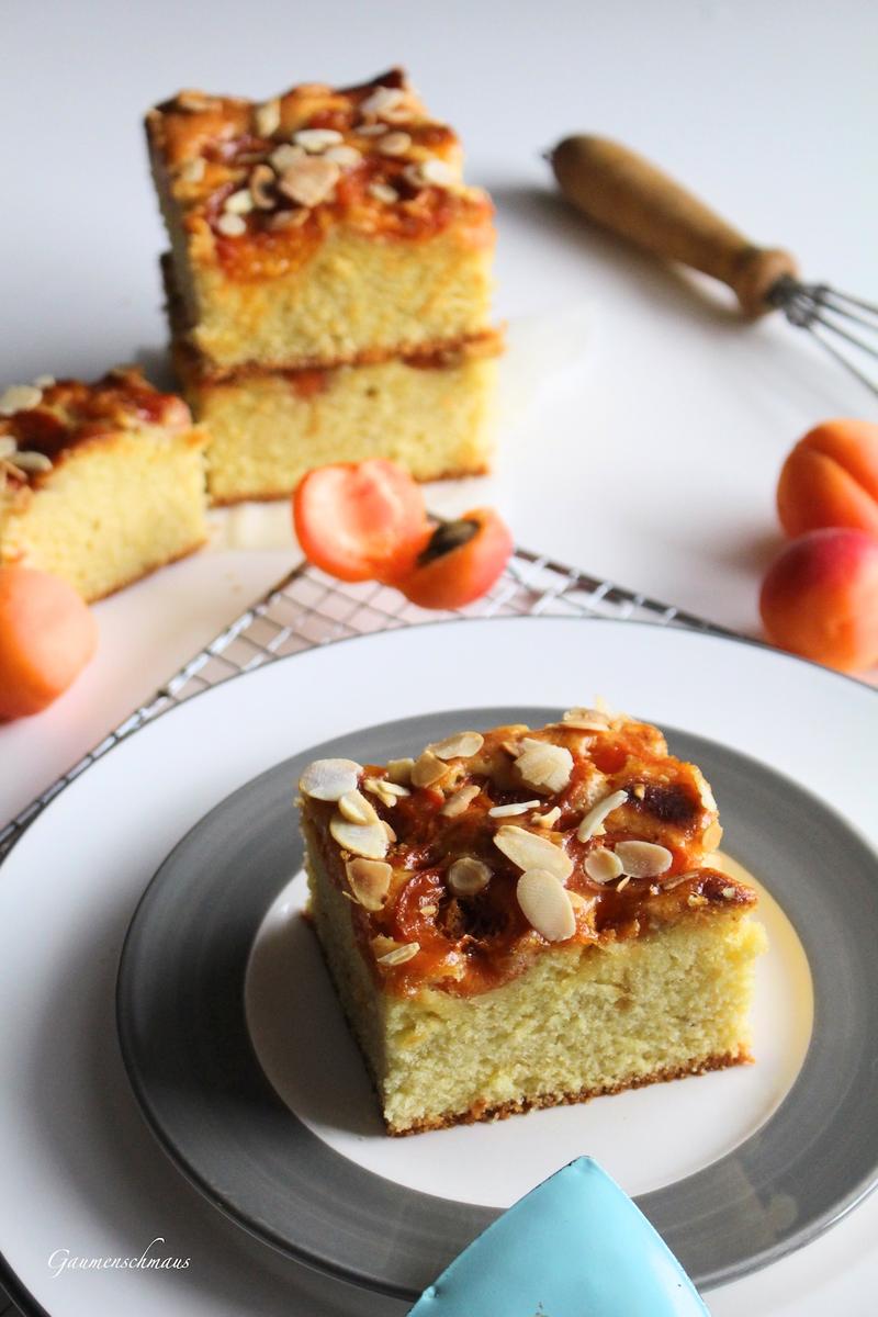 Rezeptbild: Saftiger Dinkel-Marillenkuchen