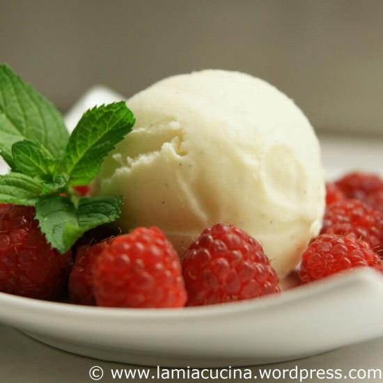 Rezeptbild: Vanille Eiscreme, eifrei