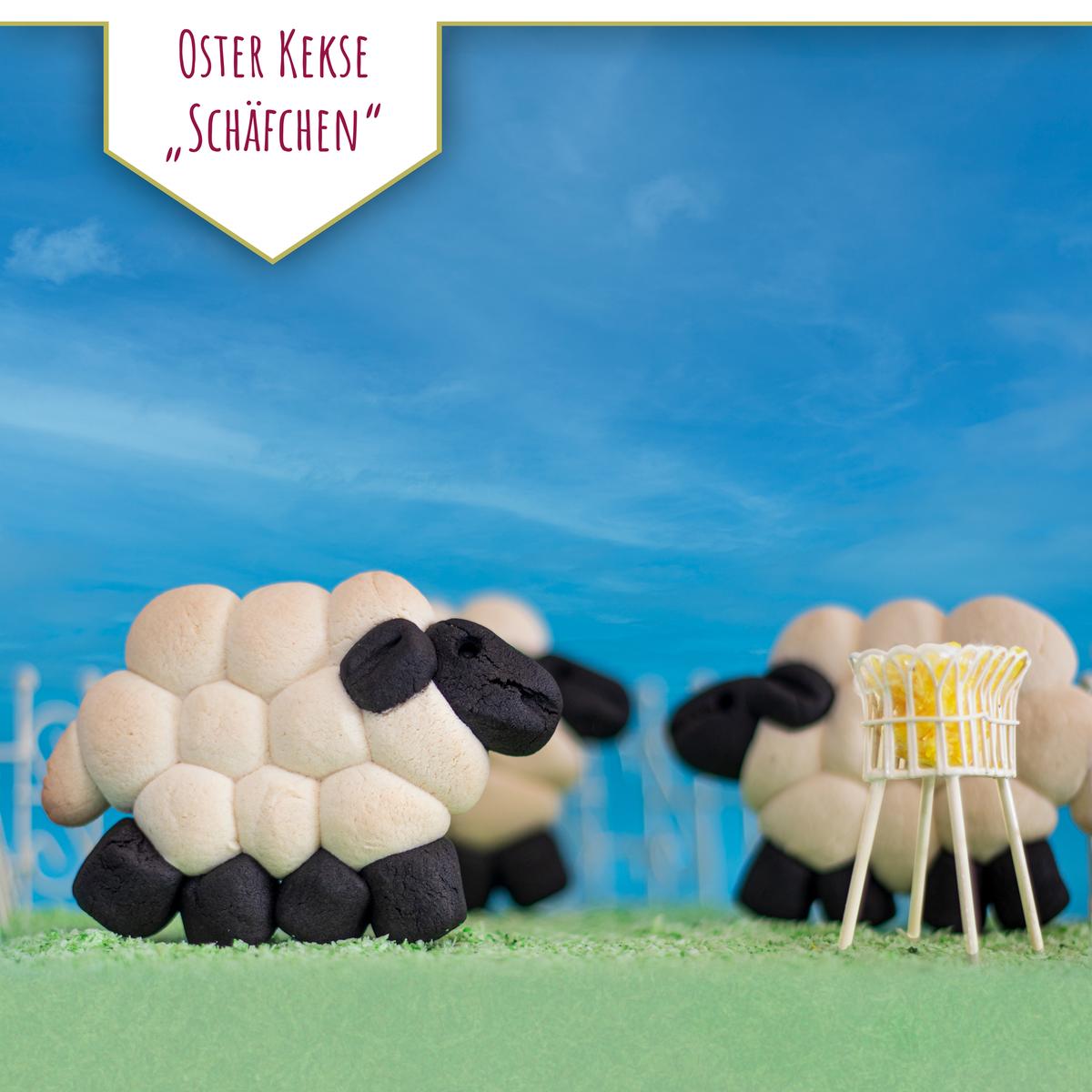 Rezeptbild: Oster Kekse "Schäfchen"