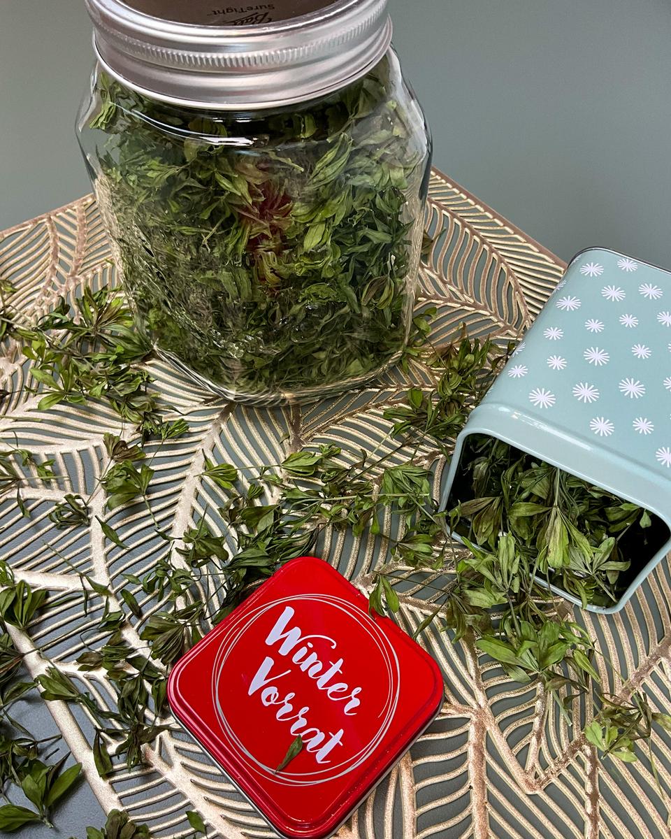 Rezeptbild: Waldmeister ernten und trocknen