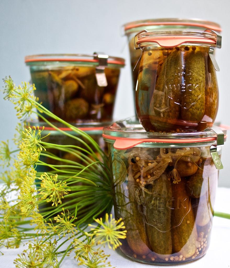 Rezeptbild: Eingelegte Gurken nach Johannes King