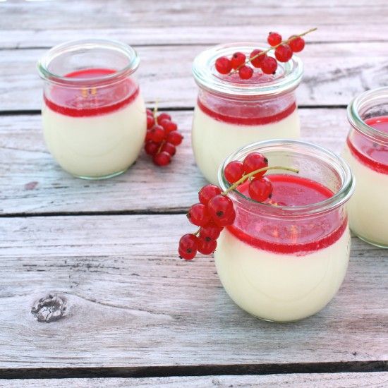 Rezeptbild: Joghurt-Panna cotta mit Johannisbeeren