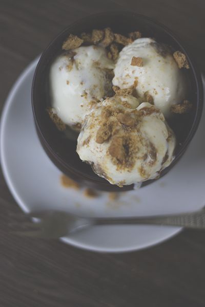 Rezeptbild: Quark-Rhabarber-Eiscreme mit Keksknusper