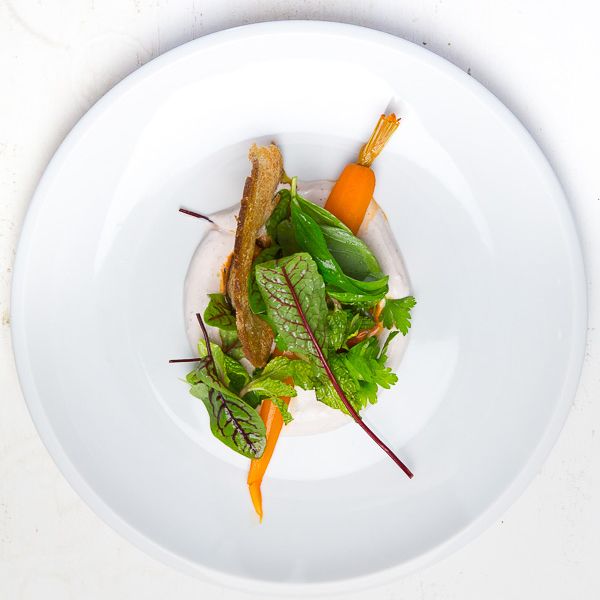 Rezeptbild: Purple-Curry-Joghurt mit Baby-Karotten, Wildkräutersalat und Brotchip