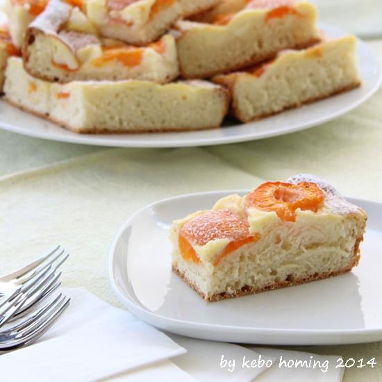 Rezeptbild: Aprikosenwähe mit Ricottaguss