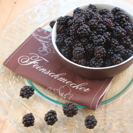 Rezeptbild: Brombeer-Joghurt-Tarte