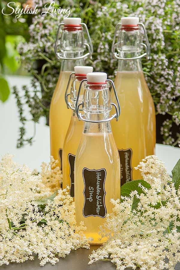 Rezeptbild: Holunderblütensirup ohne Zitronensäure