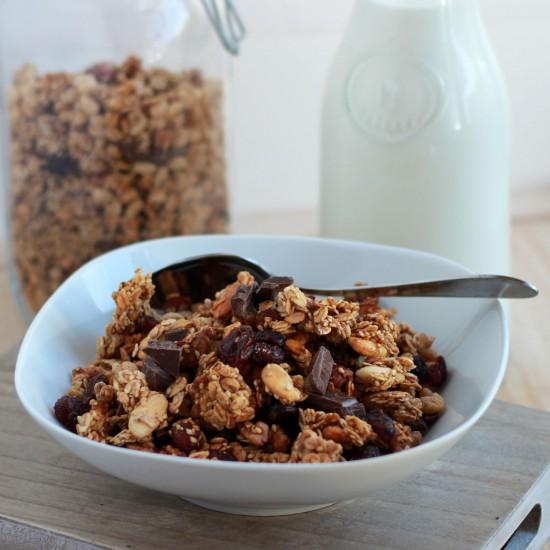 Rezeptbild: Schokoladen Cranberry Müsli
