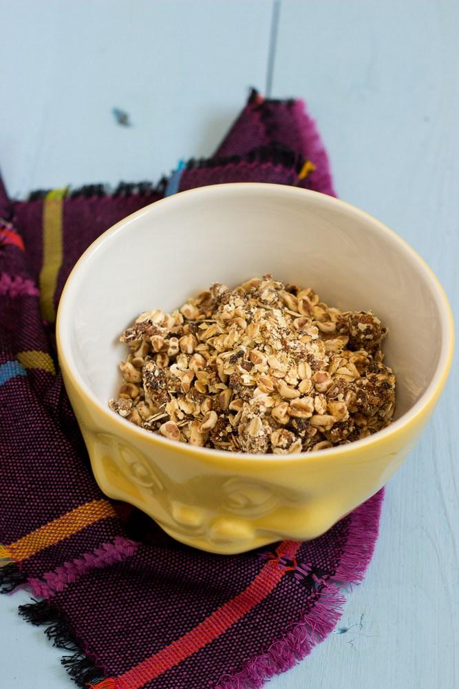 Rezeptbild: Aprikosen-Kokos-Müsli