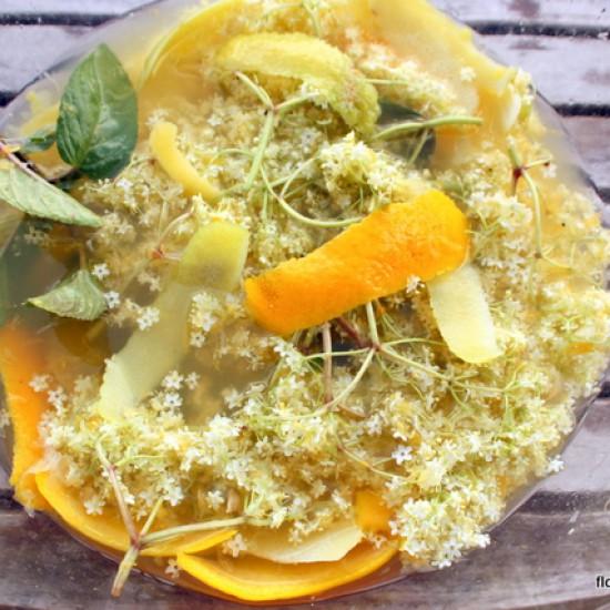 Rezeptbild: Holunderblüten-Minz-Sirup