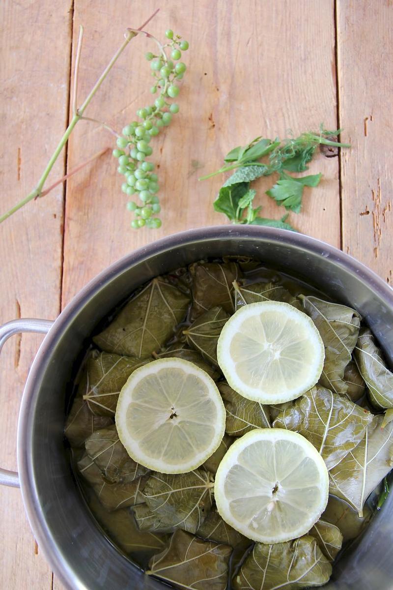Rezeptbild: Dolmeh Barg-e Mo - persische gefüllte Weinblätter