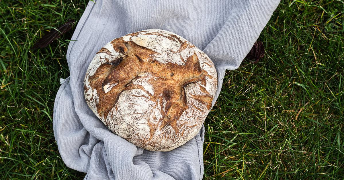 Rezeptbild: Steinmühlen-Sauerteig-Kruste