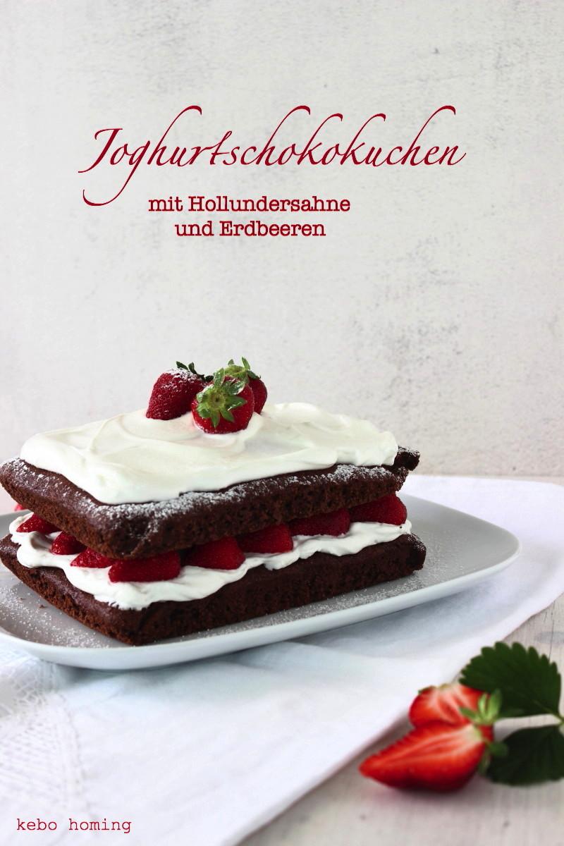 Rezeptbild: Joghurtschokokuchen 