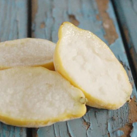 Rezeptbild: Zitronen Sorbet