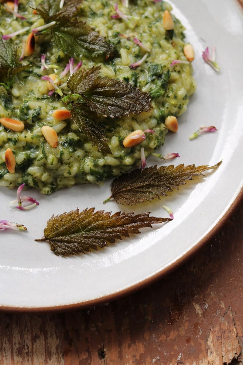 Rezeptbild: Brennnesselrisotto