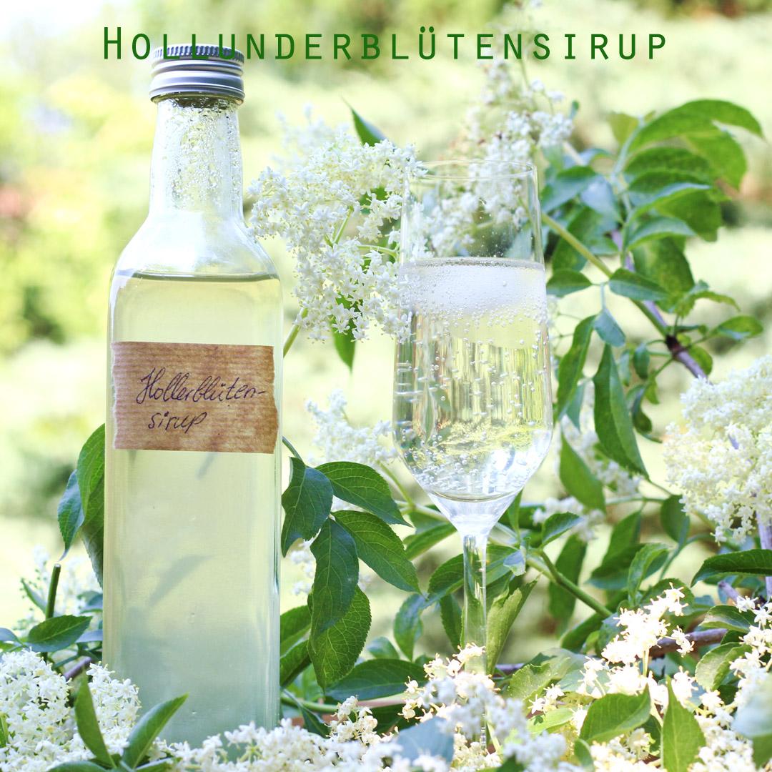 Rezeptbild: Hollunderblütensirup