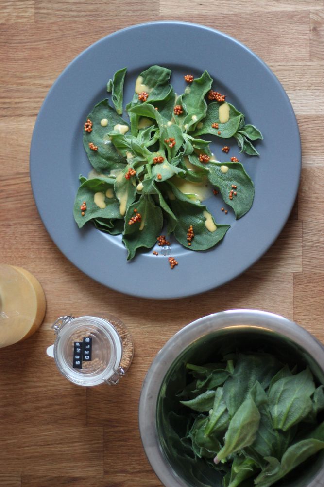 Rezeptbild: Eistropfsalat mit Orangen-Senf-Honig-Dressing und karamellisierten Senfsamen