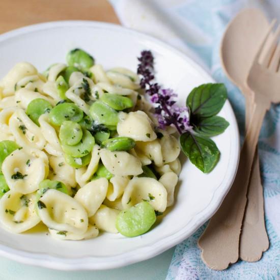 Rezeptbild: Orecchiette mit dicken Bohnen und Kräutern