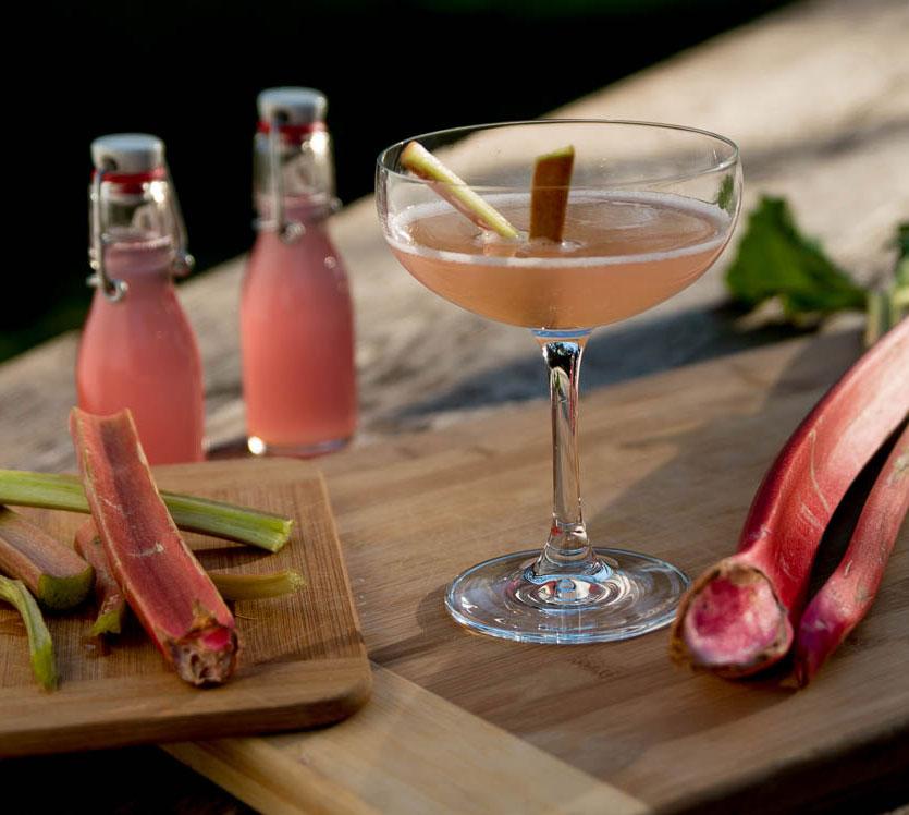Rezeptbild: Rhabarber trifft Wachholder – Gincocktails für den Frühling