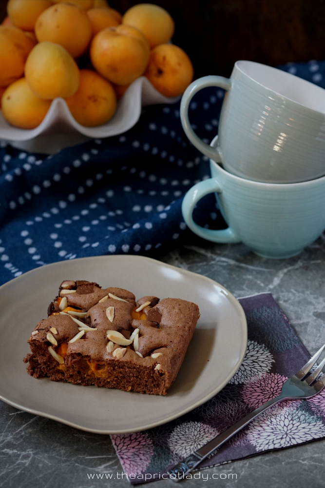Rezeptbild: Marillen-Schokoladekuchen mit Mandelsplittern 