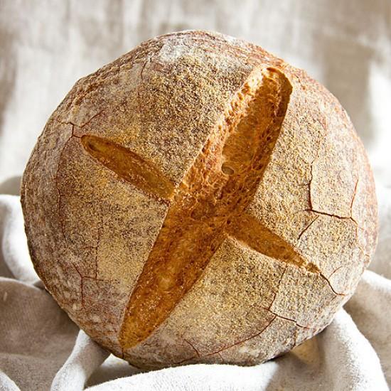 Rezeptbild: Pagnotta di Grano duro