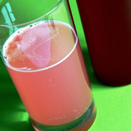 Rezeptbild: Rhabarbersirup