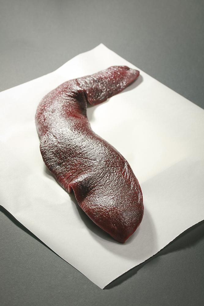 Rezeptbild: Mut zur Milz!