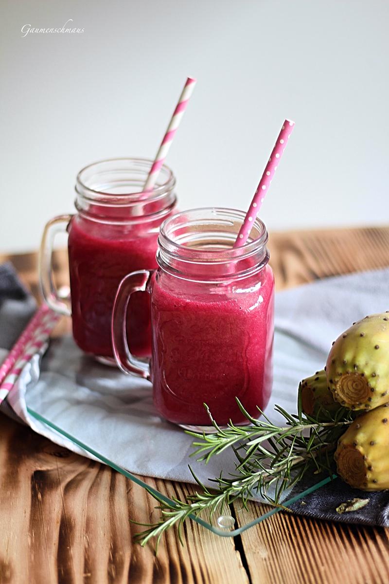 Rezeptbild: Hausgemachter Saft