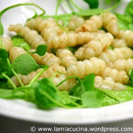 Rezeptbild: Knollenziest mit Portulakpesto