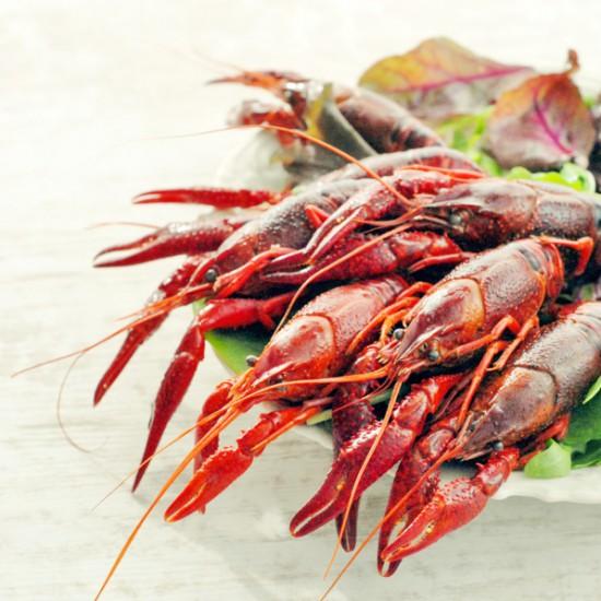 Rezeptbild: Flusskrebse