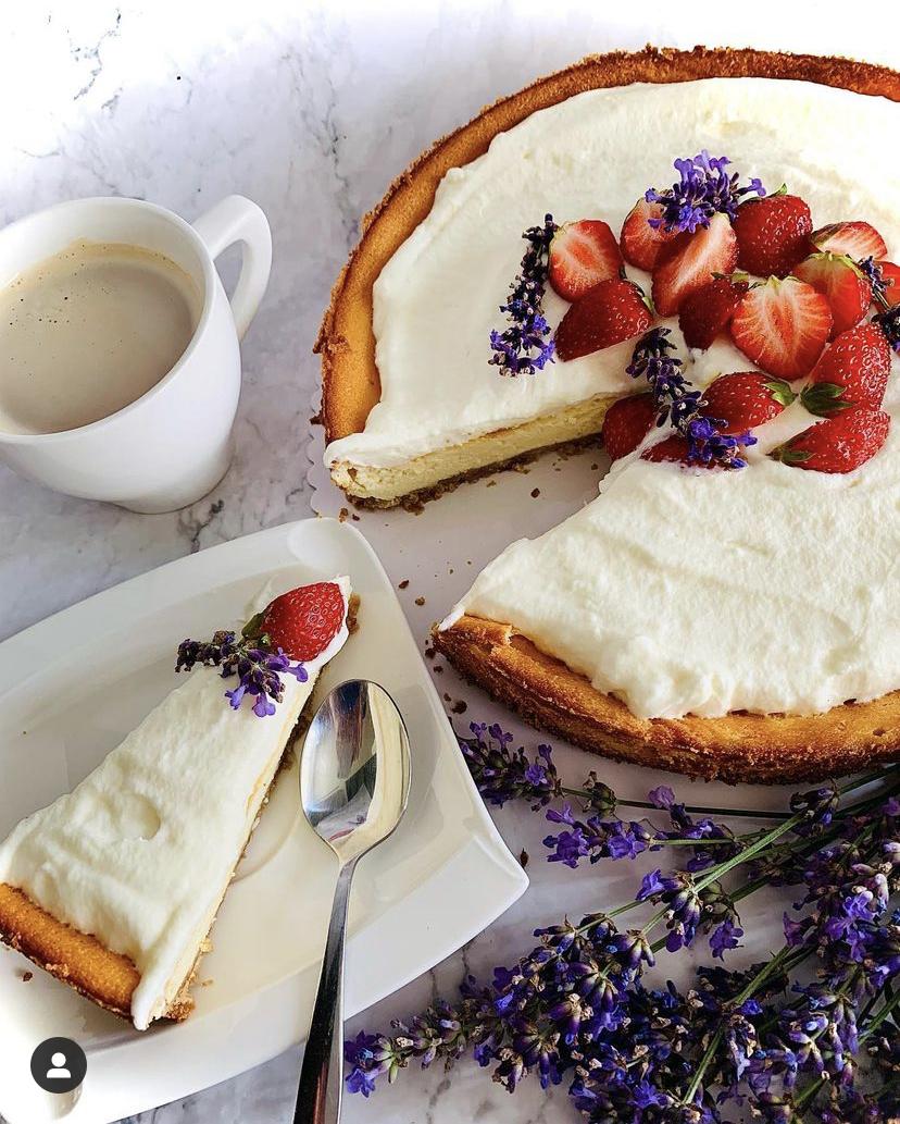 Rezeptbild: Cheesecake