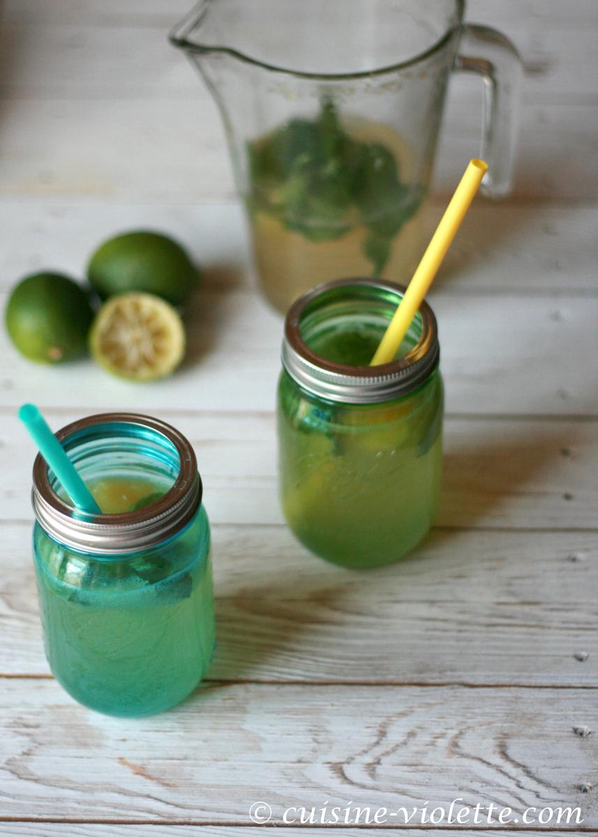 Rezeptbild: Limetten-Ingwer-Limonade