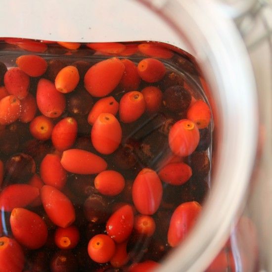 Rezeptbild: Hecken-Likör