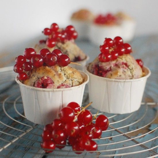 Rezeptbild: Johannisbeer Mohn Muffins