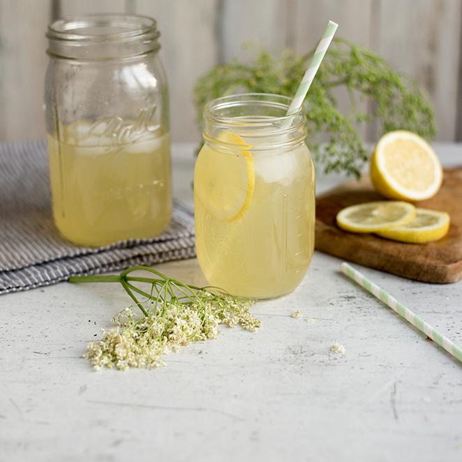 Rezeptbild: Selbstgemachte Holunderblüten-Limo