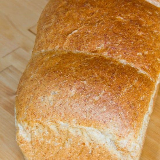 Rezeptbild: Pain de Mie