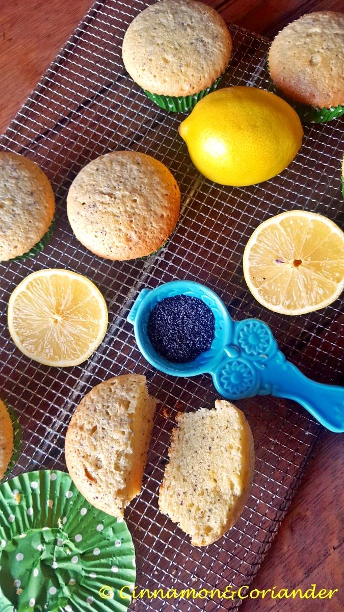 Rezeptbild: Saftige Zitronen Mohn Muffins