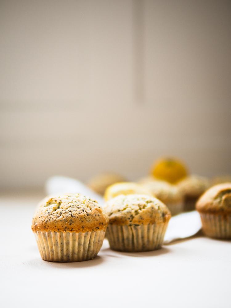 Rezeptbild: Zitronen-Mohn-Muffins nach Martha Stewart