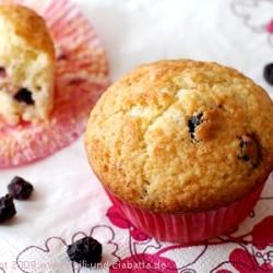 Rezeptbild: Blueberry-Zitronen-Muffins