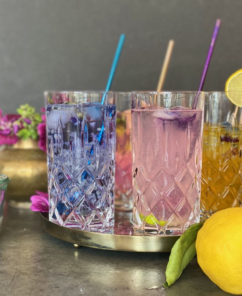 Rezeptbild: Sharbat-e Panirak – Wilder Malven Drink شربت گل پنیرک