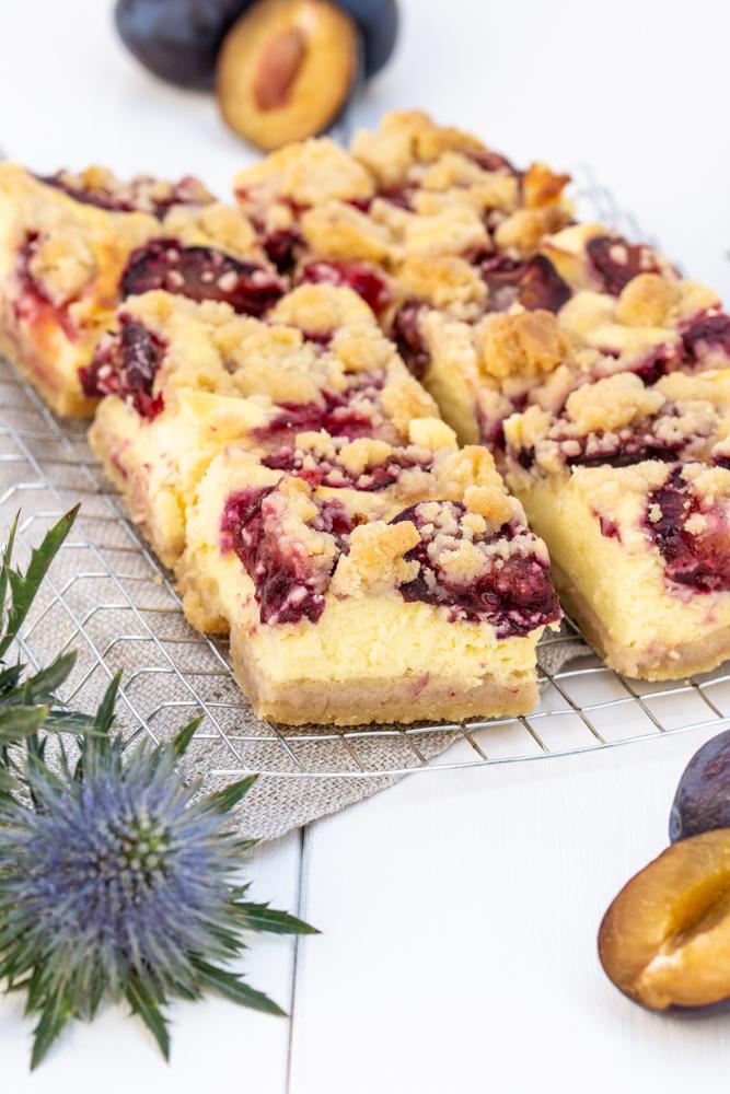 Rezeptbild: Zwetschken Topfen/Quark Streuselkuchen