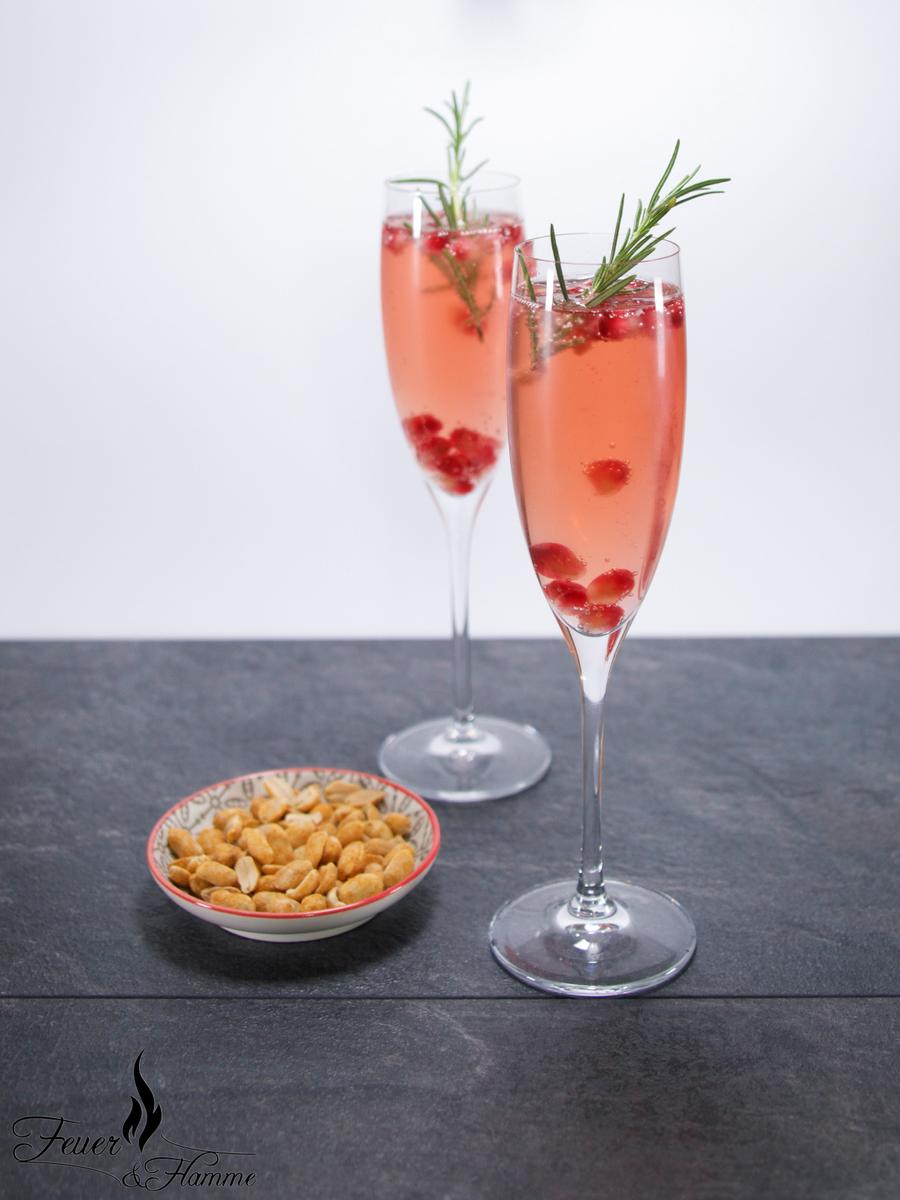 Rezeptbild: Spritziger Aperitif mit Rhabarber und Granatapfel