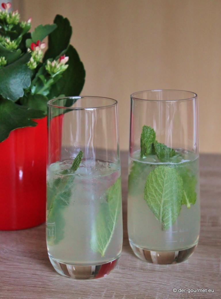 Rezeptbild: Tiojito – der Sommerdrink 2015