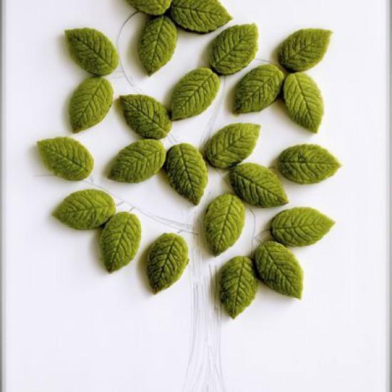 Rezeptbild: Matcha Kekse