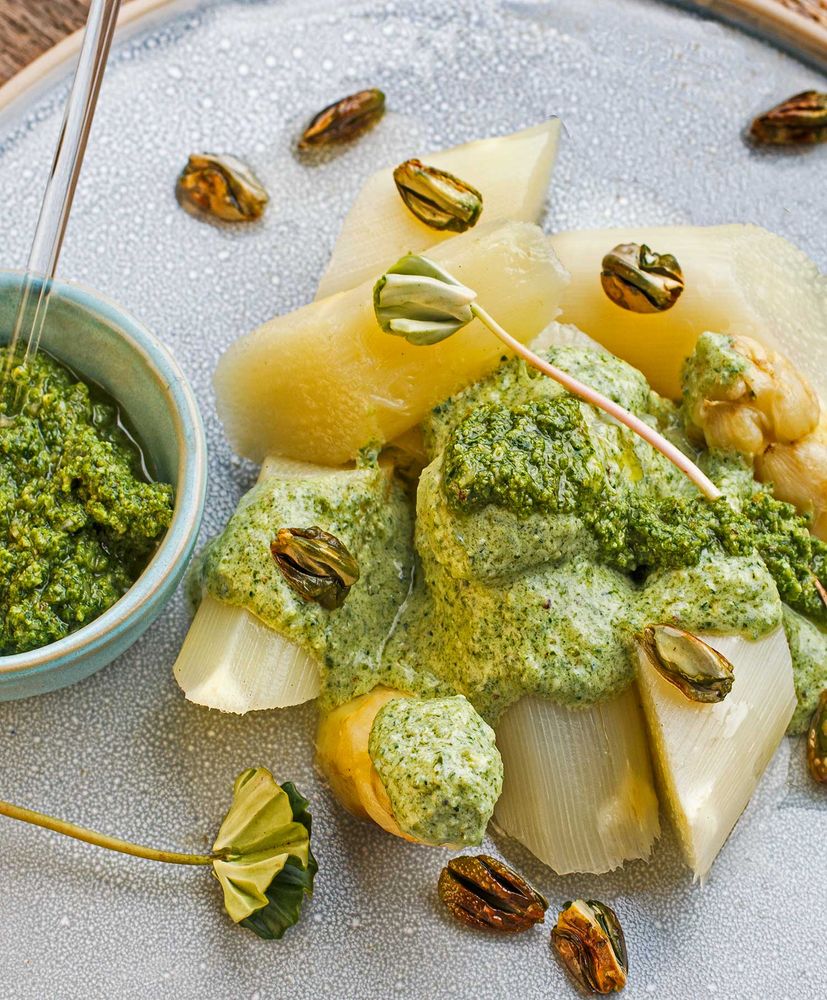 Rezeptbild: Spargelgemüse mit Buchensprossenpesto