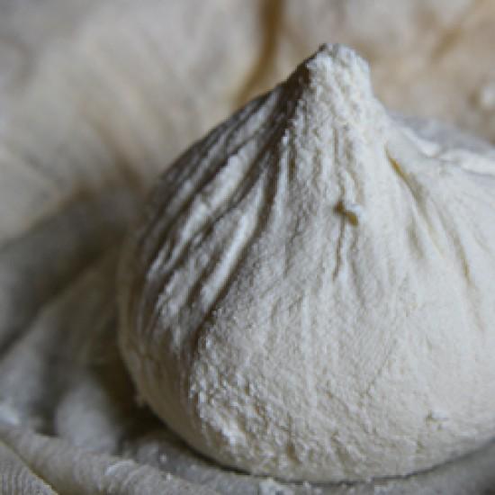 Rezeptbild: Ziegenfrischkäse selbstgemacht