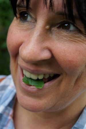 Profilbild von info