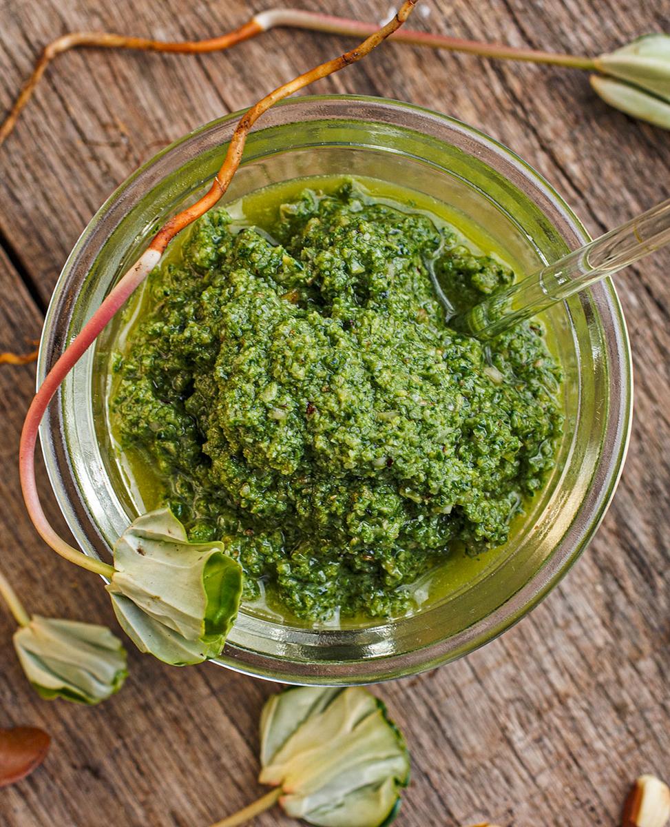 Rezeptbild: Buchensprossen-Pesto